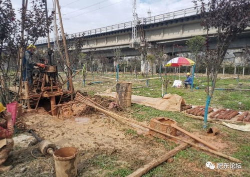 沿江高鐵肥東段迎關(guān)鍵節(jié)點(diǎn) 店埠河特大橋啟動(dòng)勘測(cè)，為2020年開工建設(shè)鋪路